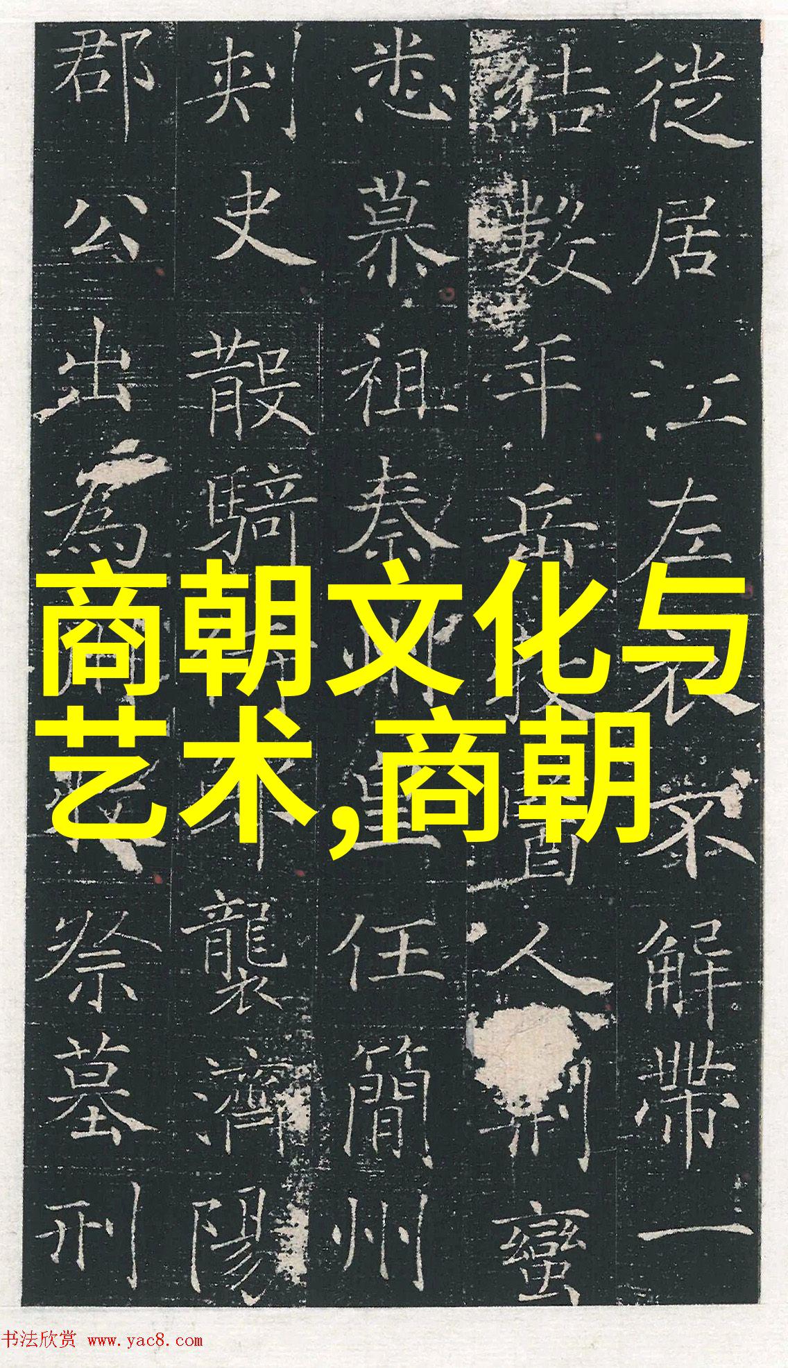 在多元化团队中建立系统性的企业文化又该如何操作