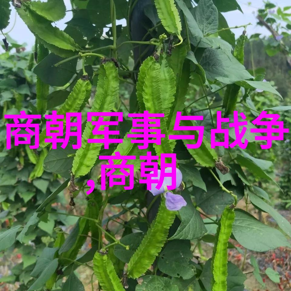 清代帝位继承制度研究乾隆与雍正年间的排位问题探究