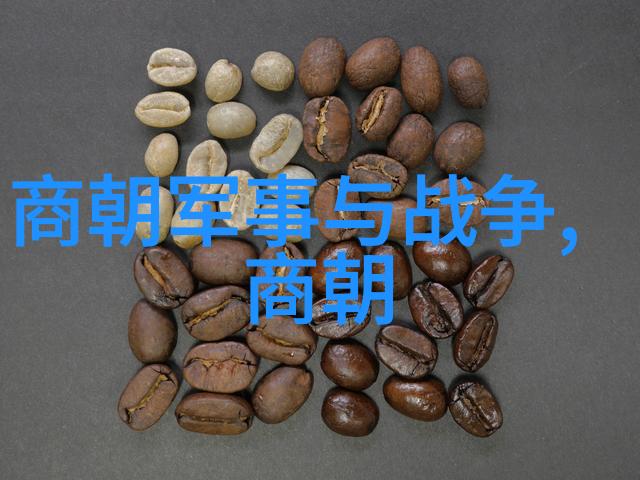 医疗卫生事业发展从传统医药到现代医疗系统的变革