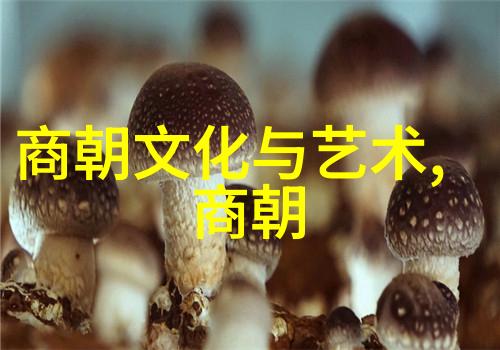 玄幻小说巅峰排行榜我眼中的那些神奇故事