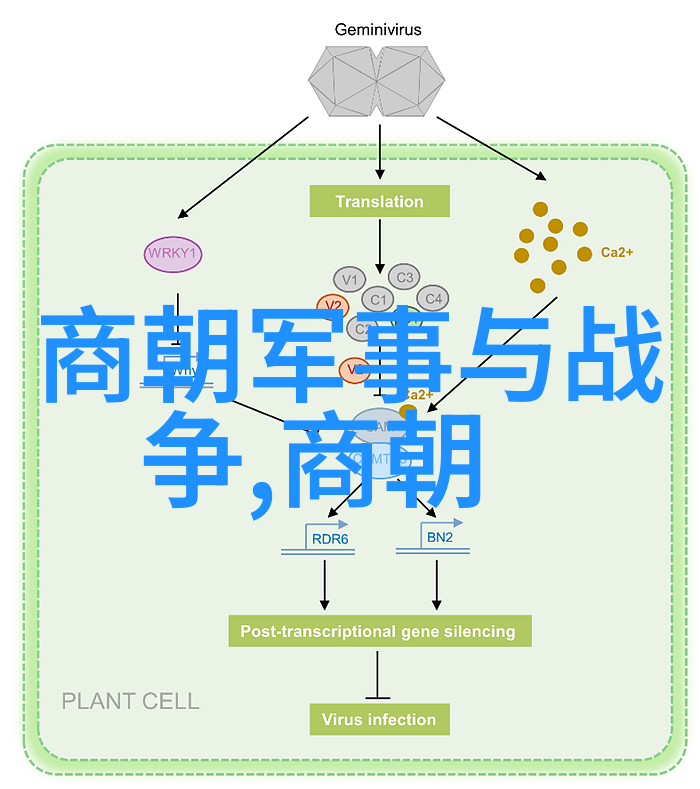 才女四杰风华绝代的女性艺术家