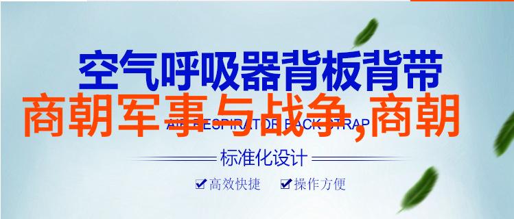 明朝历史课本的丑化现象探究明朝文化与艺术被传统历史教科书中的刻板印象所误解的原因