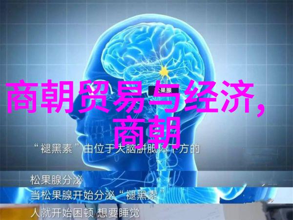 朝代发展史上的转折点有哪些它们对后来的社会产生了怎样的影响