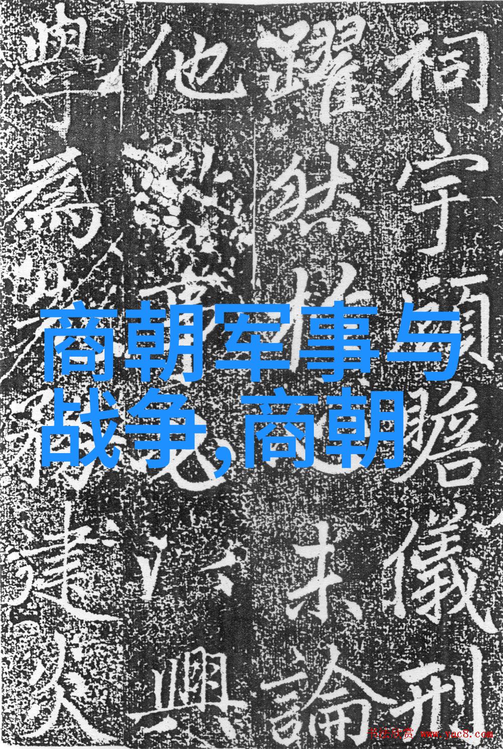 赵素影一代枭雄之死引关注 2023年新闻趣事中的一段传奇