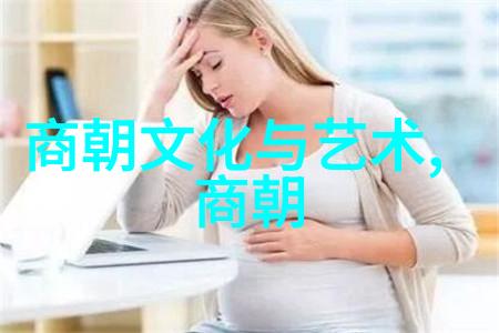 清朝历史精要了解清朝的兴衰沿革