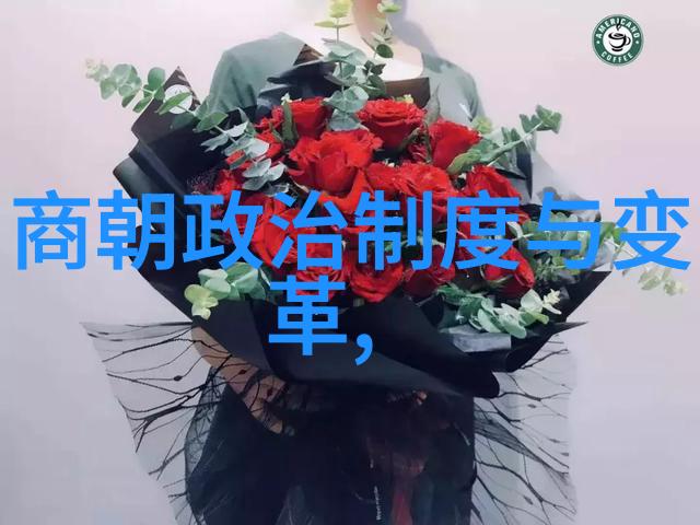 藏书阁之秘密传承