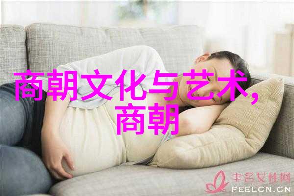 明朝电视剧中的历史真实性如何