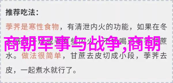 从宏观管理到细节改革明代初年的经济政策探究