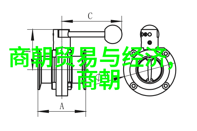 明朝族谱简图我家的荣耀历程从朱元璋到康熙的血脉记忆