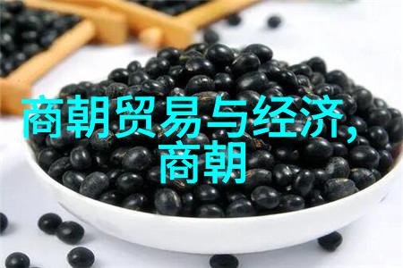 花季传媒V3.0.2黄一天一次追逐阳光的数字时代