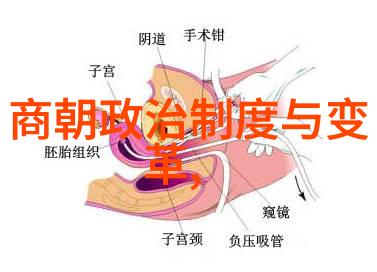 春秋之梦建立的逆袭