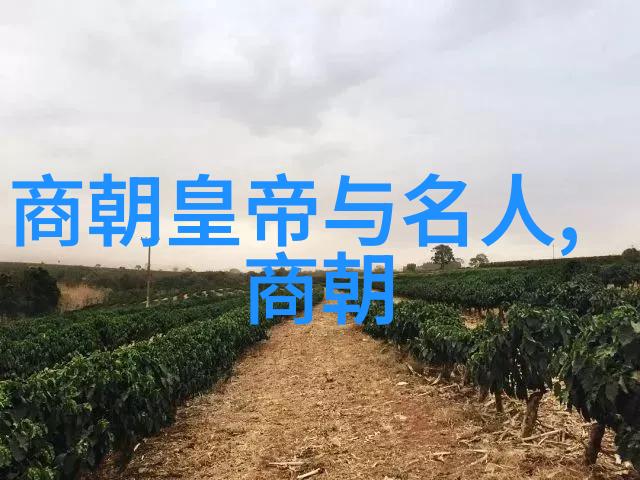 宋朝文化发展的关键是什麼