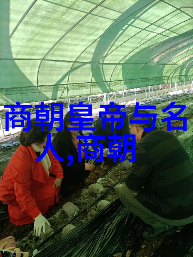 河南文化探秘揭开中原之谜的窗口