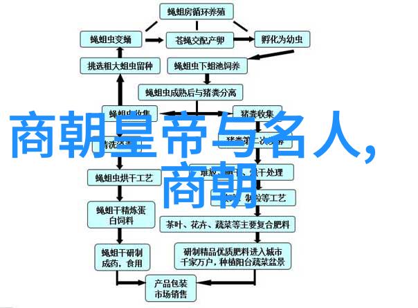 罗马帝国走向衰败的关键事件有哪些