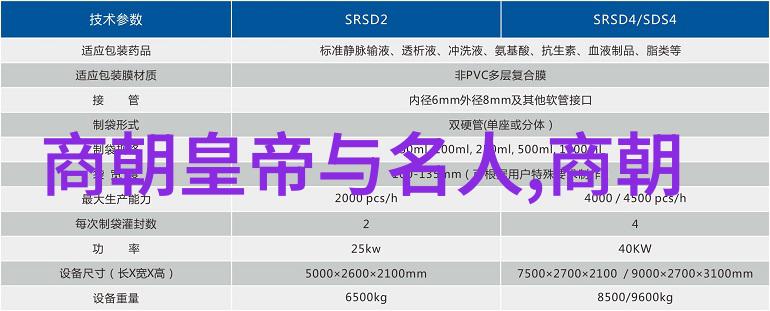 孪生兄弟3尴尬的旅程