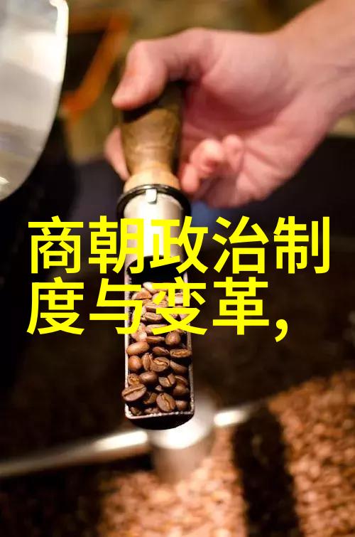 温暖月光下的甜蜜约定