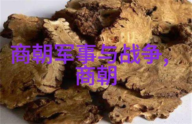 元朝瓷器-青花与蓝色探索元代艺术的典范