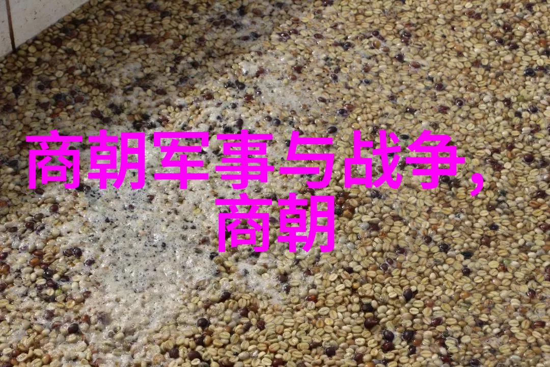 从小镇到全球舞台张丽华传奇人生