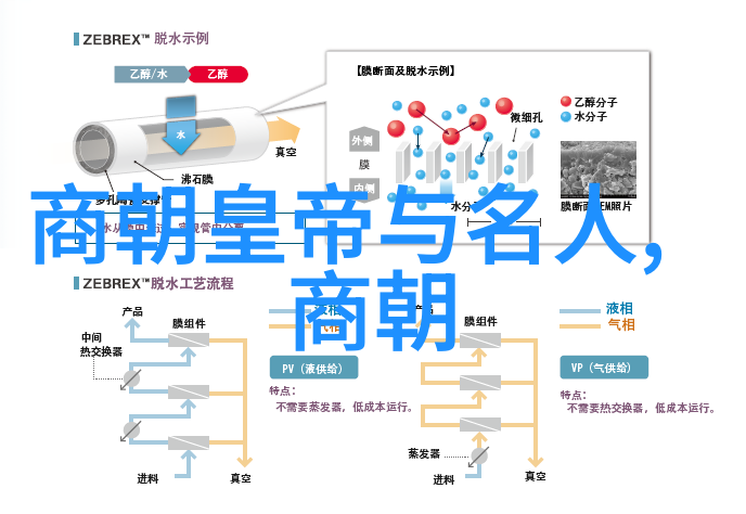 从简到繁从古到今现代人对明朝族谱简图的重新认识