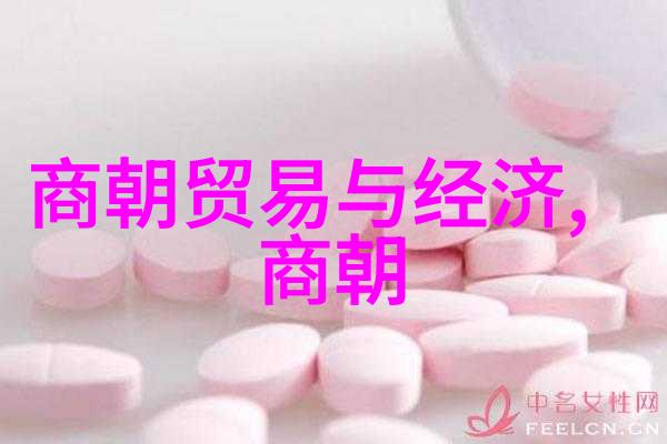 北宋时期的兴衰变迁建炎之年的风云