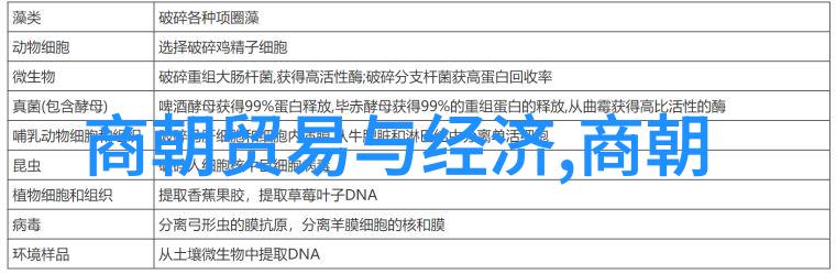 一个简单而精炼的话语能够传达出唐诗歌所蕴含的情感和哲理吗