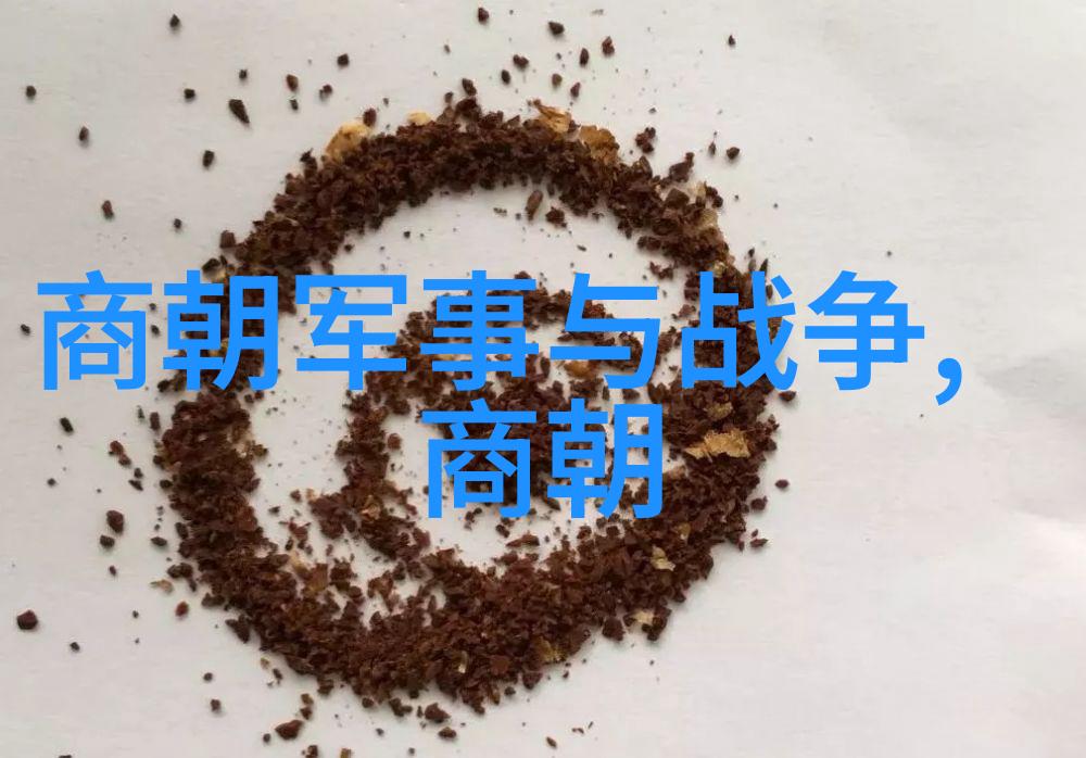 明朝的都司卫所历史时空中的守护者与管理者