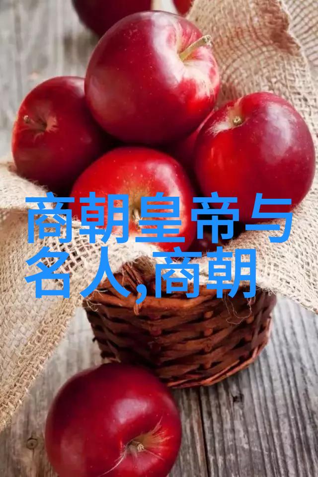 明成祖与明英宗开国皇帝vs 宦官夺权的皇帝