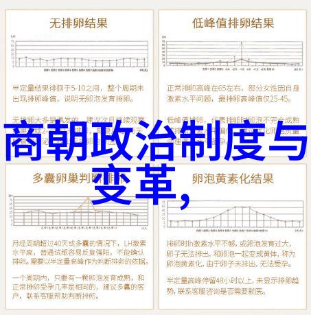 宋代末期的江南政权南宋王朝简史概览