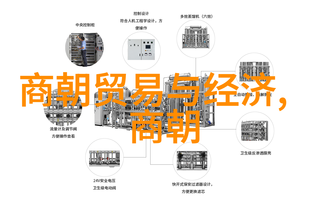 传统文化故事-红楼梦中的宝玉品味古典文学的智慧与情感