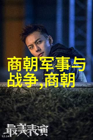 北宋覆灭之谜权力腐败与外敌侵扰的交织