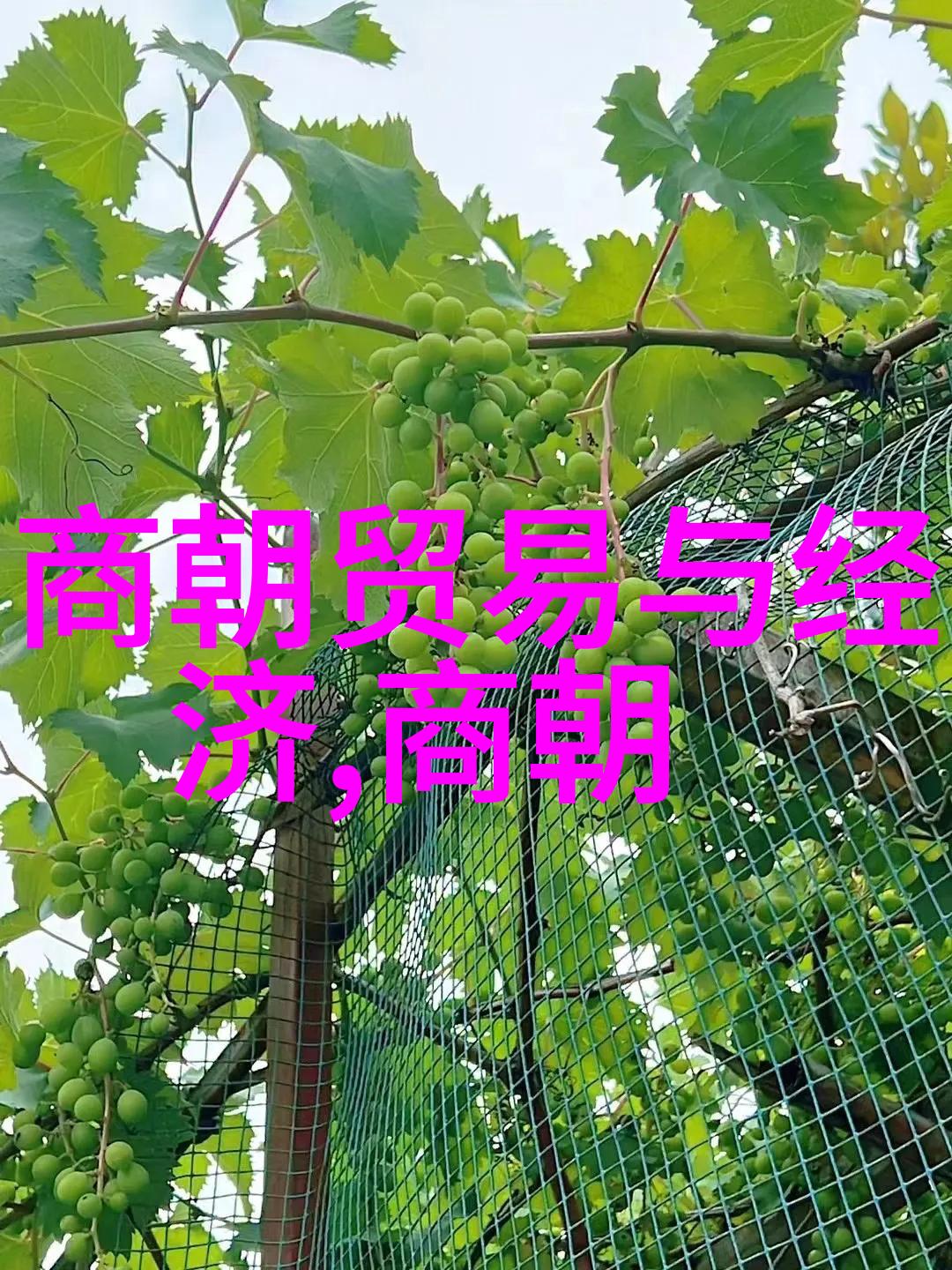 揭秘清末英雄陈天华烈士如何走向牺牲的故事