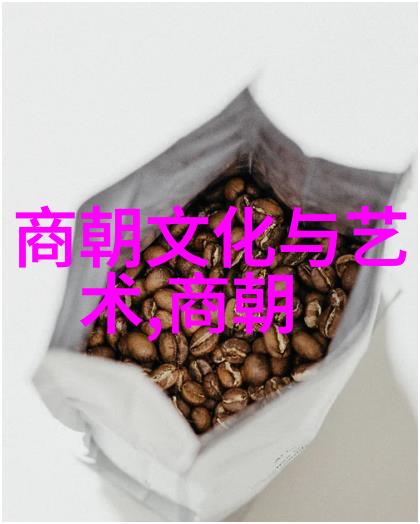 时间的裂痕追溯那些至今依然无法一清二楚的100个奇观