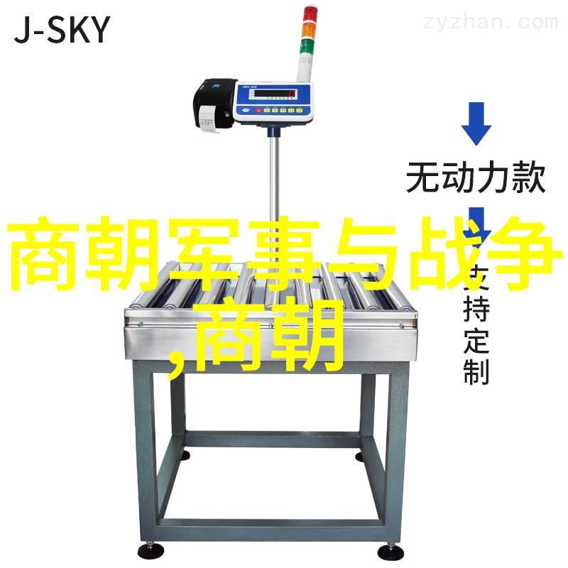 南诏国的覆灭唐军的征服