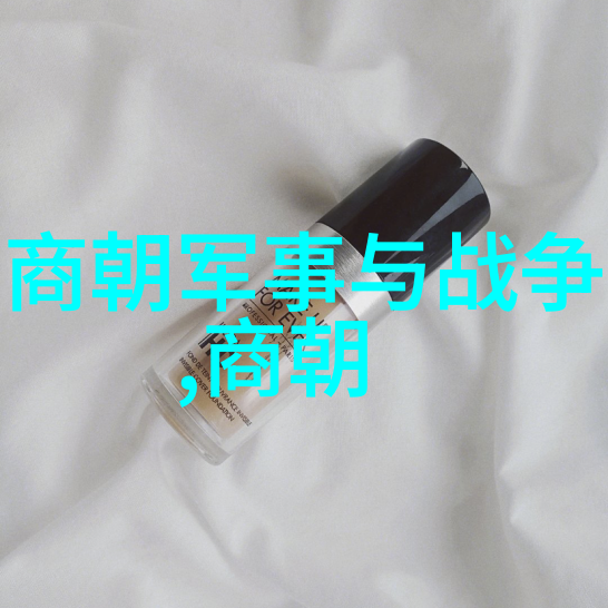 宋朝文化繁荣与艺术高峰的盛世篇章