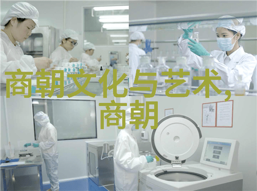 穿越时空的故事中国历史文化的精彩篇章