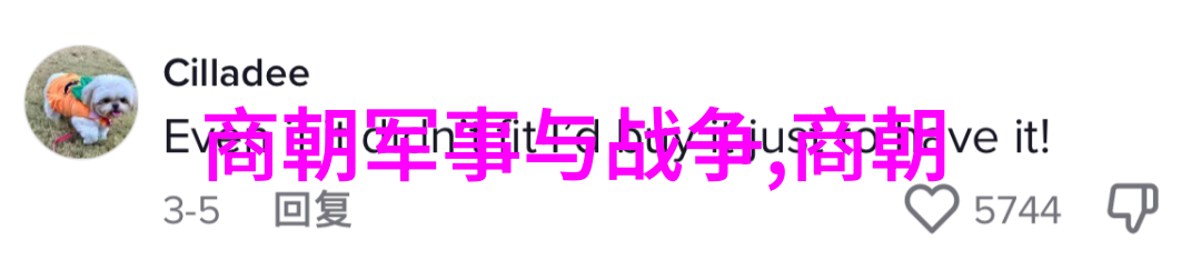 2一5岁睡前小故事梦幻森林里的魔法熊猫