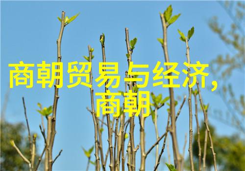 乌孙公主草原上的璀璨星辉