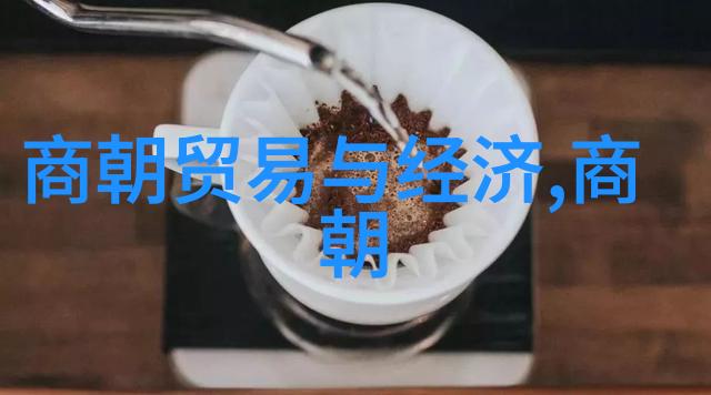 重返宋朝皇权的重铸与时空的缝补