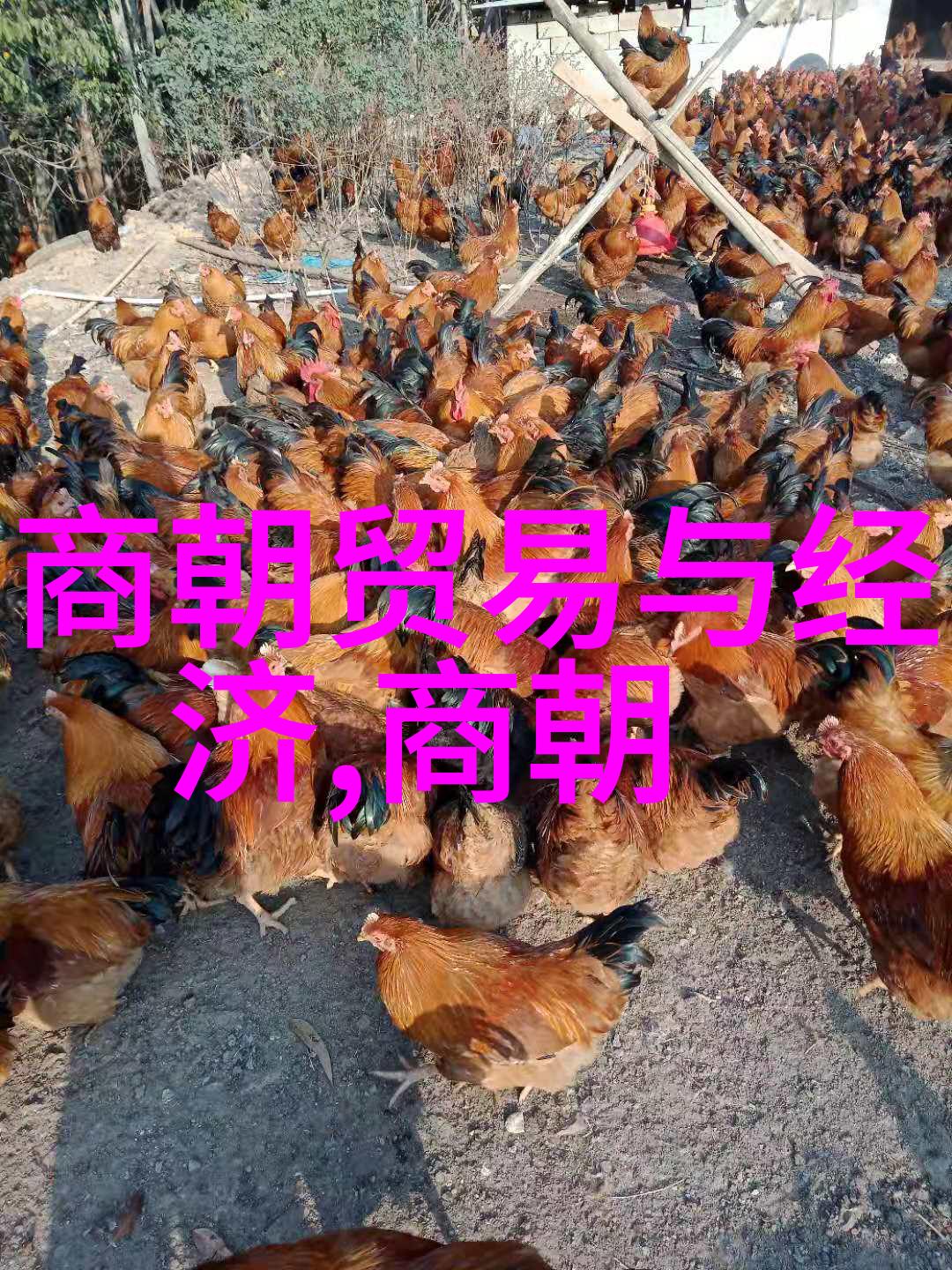 艺术的五大门派绘画音乐戏剧雕塑和文学