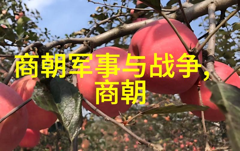 汉字千年历程古籍中的文字智慧