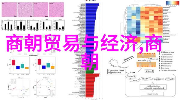 一夫多妻制是同时睡一床吗我怎么能和几个老婆一起睡觉