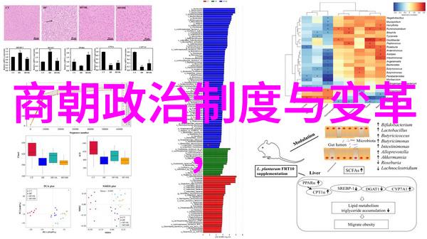 从皇宫到江湖寻找属于自己的自由之路一位太監的人生旅程