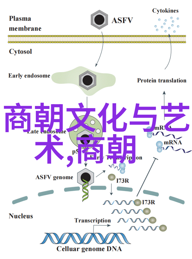 表现主义在当代艺术中的作用