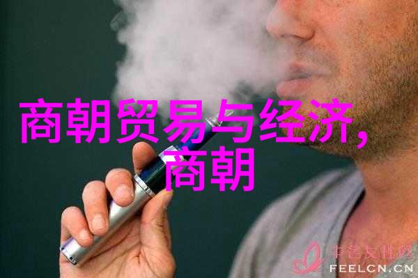 清朝历史速览一分钟穿越千年辉煌与沧桑