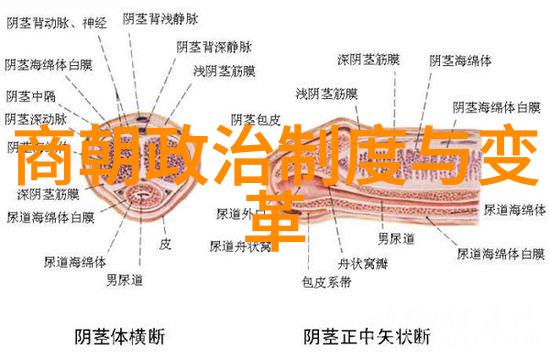 唐朝好男人1铁血柔情的边塞将军