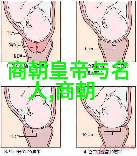 孪生兄弟3ph尴尬孪生兄弟的尴尬时刻