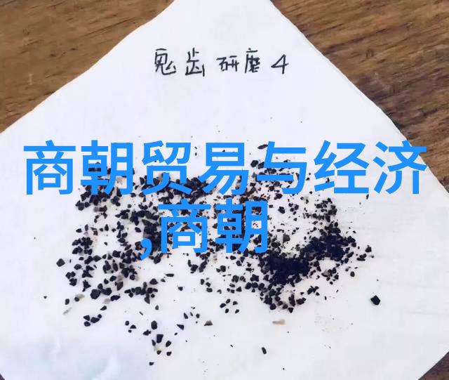 现代女性精神的探索庭妍小说集深度解读与下载体验