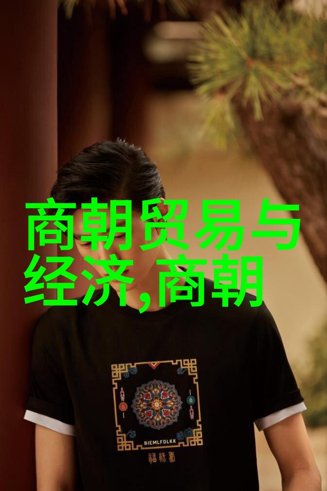 龙脉里的变迁探究每一个字在中文里所承载的情感与深度