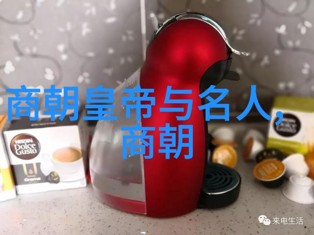 明朝两重天繁华与衰落的交响曲