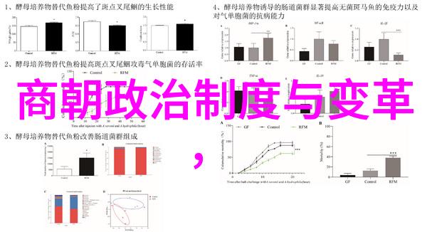 编织千年史诗中国朝代时间轴的构建